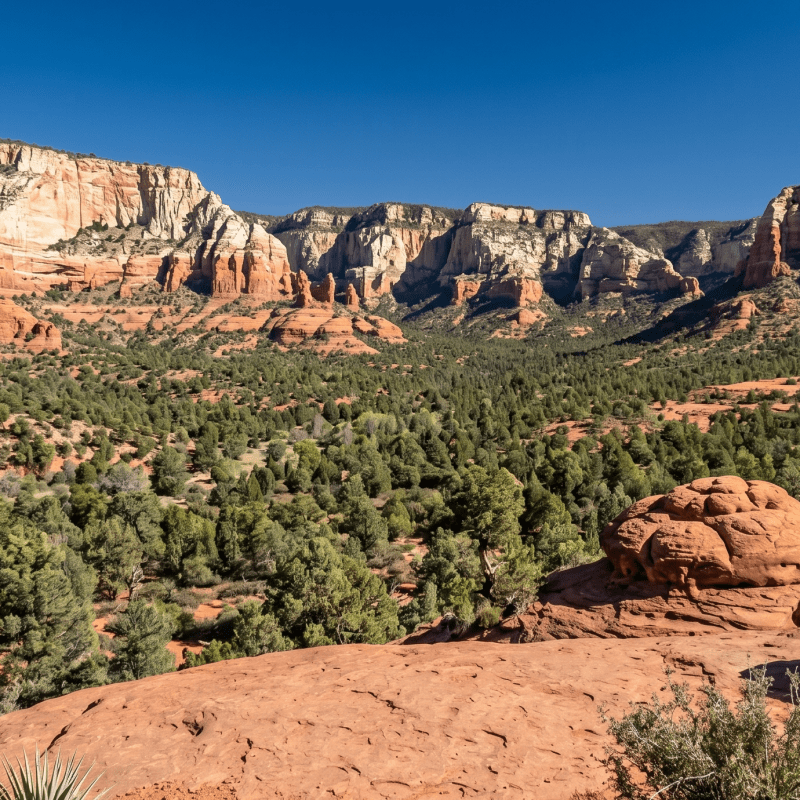 Red jeep parked on rocky terrain with forest and mountains in background.