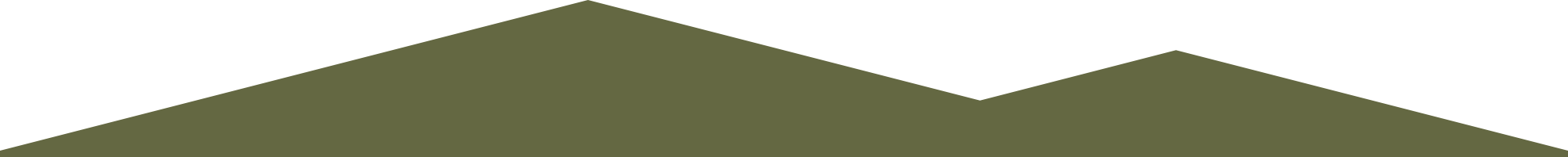 Green chevron shape pointing downward on a white background.