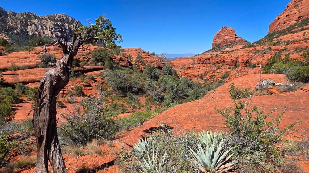 Scenic view of a desert landscape with red rock formations and sparse vegetation under a clear blue sky.